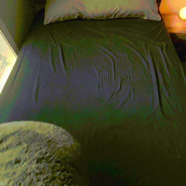 Love Layer™ Waterproof Blanket