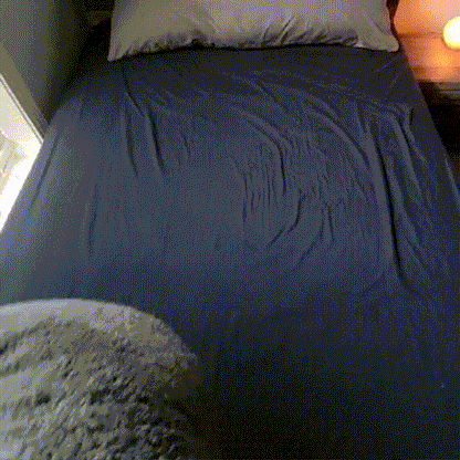 Love Layer™ Waterproof Blanket